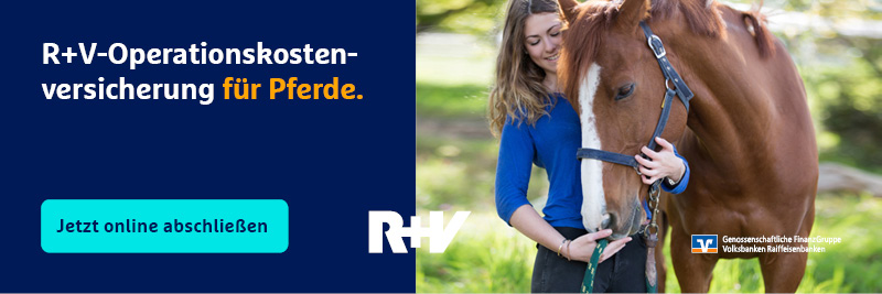 Partner & Sponsoren